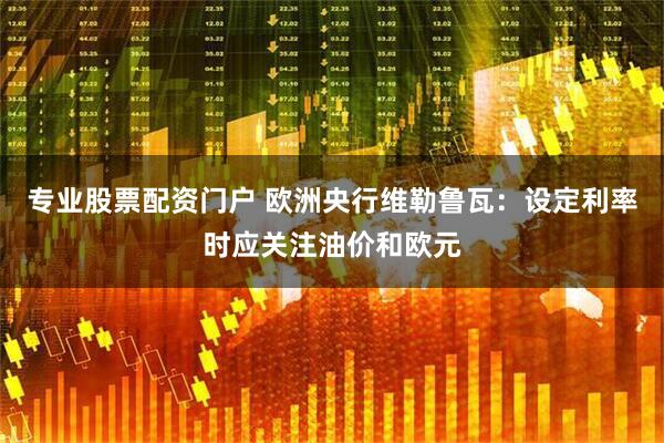 专业股票配资门户 欧洲央行维勒鲁瓦：设定利率时应关注油价和欧元